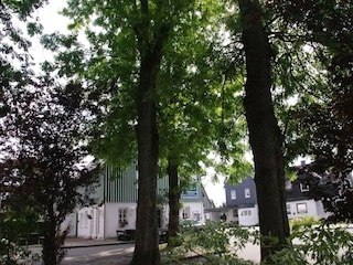 Ferienhaus Winterberg Außenaufnahme 7
