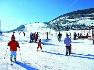 Appartement Piesendorf Environnement 18