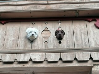 Appartamento Piesendorf  24