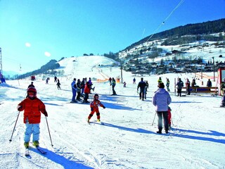 Apartamento Piesendorf Entorno 19
