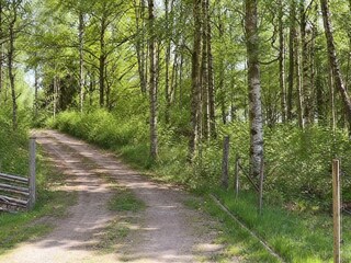 Vakantiehuis Landeryd  19