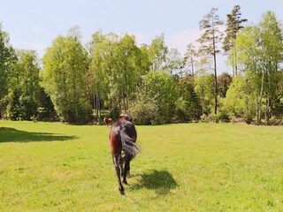 Ferienhaus Landeryd  27