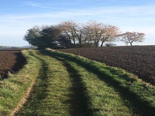 Holiday house Barvaux-sur-Ourthe Environment 21