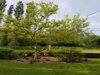 Holiday house Barvaux-sur-Ourthe Environment 31