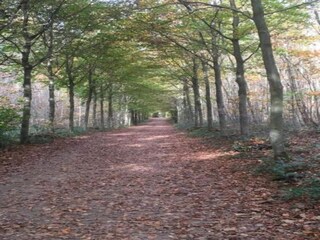 Vakantiehuis Barvaux-sur-Ourthe Omgeving 28