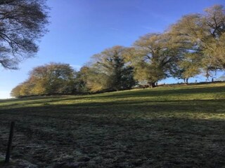 Maison de vacances Barvaux-sur-Ourthe Environnement 26
