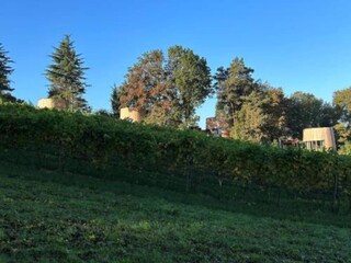 Maison de vacances Barvaux-sur-Ourthe Environnement 31