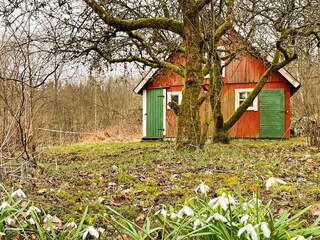 Ferienhaus Olofström Außenaufnahme 4