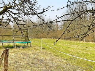 Ferienhaus Olofström Außenaufnahme 6