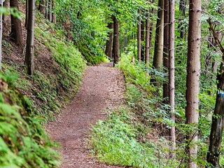 Ferienhaus Olofström  15