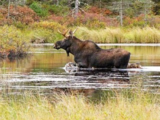 Vakantiehuis Olofström  9