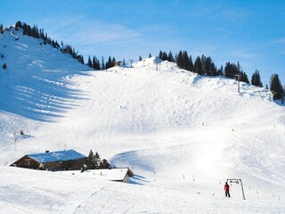 Apartamento Bayrischzell Entorno 23