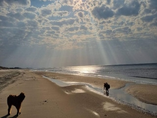 Casa de vacaciones Saltum Grabación al aire libre 11