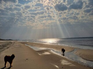 Ferienhaus Saltum Außenaufnahme 14