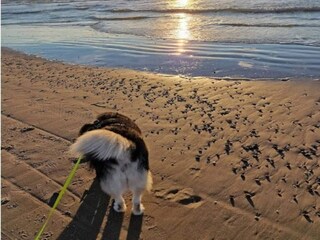 Vakantiehuis Saltum Buitenaudio-opname 7