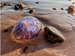 Casa per le vacanze Saltum Registrazione all'aperto 10