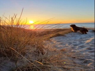 Maison de vacances Saltum Enregistrement extérieur 12