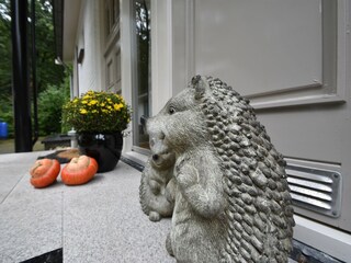 Vakantiehuis Holten  32