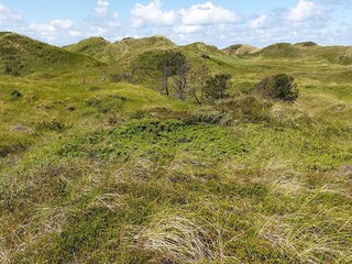 Vakantiehuis Rødhus  34