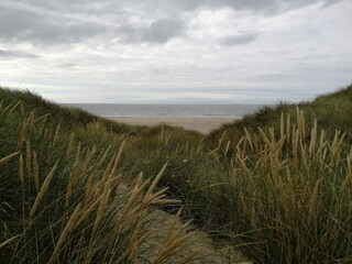 Ferienhaus Rødhus  33