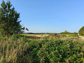 Casa de vacaciones Rødhus  35