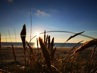 Casa per le vacanze Rødhus  8