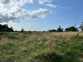Ferienhaus Rødhus  31