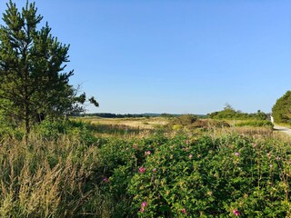 Casa per le vacanze Rødhus  11