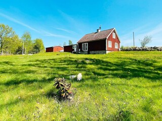 Vakantiehuis Tingsryd Buitenaudio-opname 1