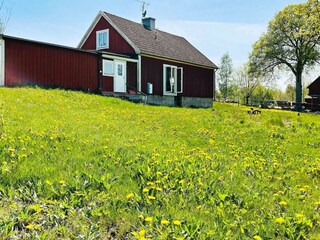 Ferienhaus Tingsryd Außenaufnahme 3