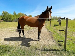 Vakantiehuis Tingsryd Buitenaudio-opname 7