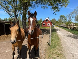 Vakantiehuis Tingsryd Buitenaudio-opname 5