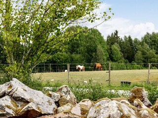 Ferienhaus Tingsryd Außenaufnahme 12