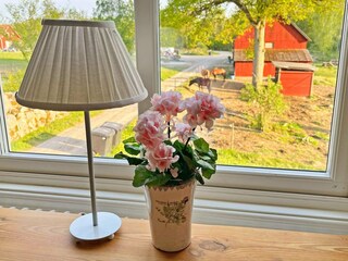 Vakantiehuis Tingsryd  38