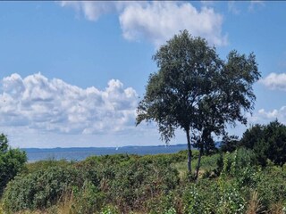 Maison de vacances Kegnæs  17