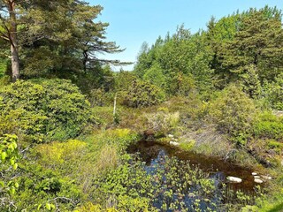 Vakantiehuis Lysekil  16