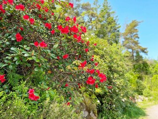 Holiday house Lysekil  22