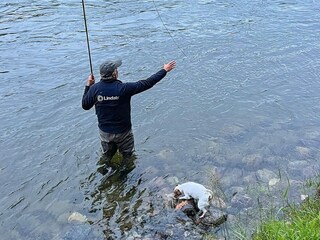 Vakantiehuis Welt  17