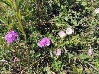 Vakantiehuis Enø  22