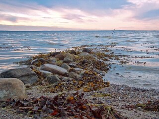 Maison de vacances Brenderup  17