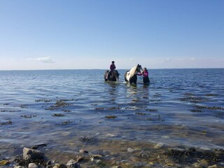 Holiday house Brenderup  27