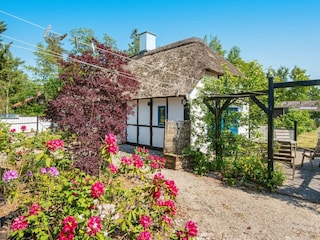Ferienhaus Ørsted  31