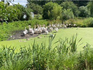 Vakantiehuis Ebeltoft  8