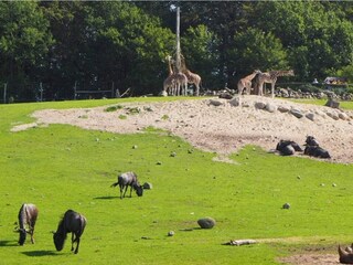 Vakantiehuis Ebeltoft  9