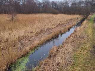 Casa per le vacanze Ebeltoft  9