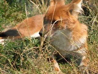 Vakantiehuis Ebeltoft  12