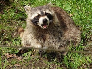 Ferienhaus Ebeltoft  13