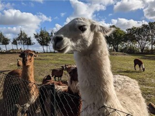 Casa per le vacanze Ebeltoft  33