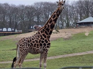 Vakantiehuis Ebeltoft  27