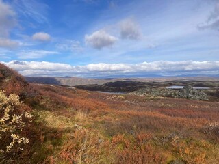 Appartement Welt  13